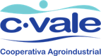 Logotipo C.Vale